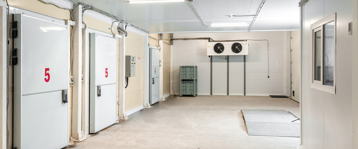 冷凍・冷蔵庫設備の新規設置工事